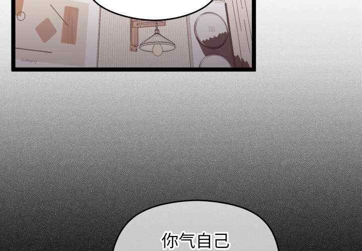 第3张