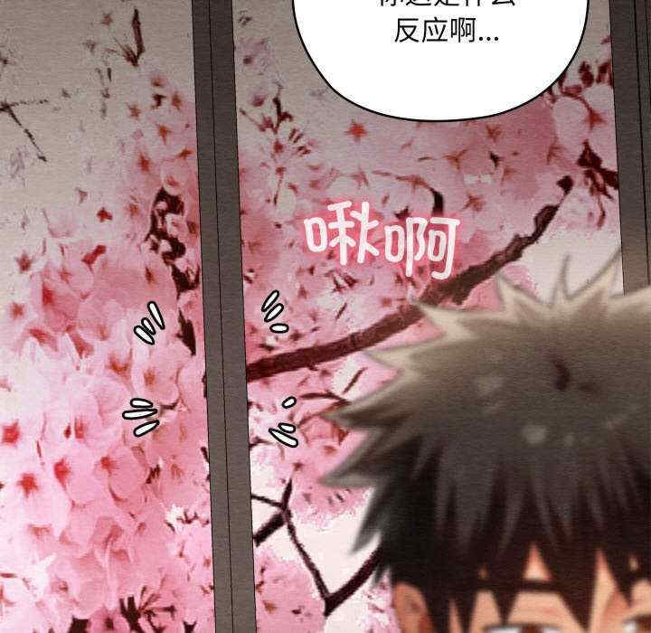 第175张